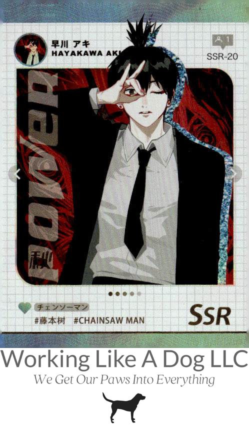 Chainsaw Man #SSR-20 Hayakawa