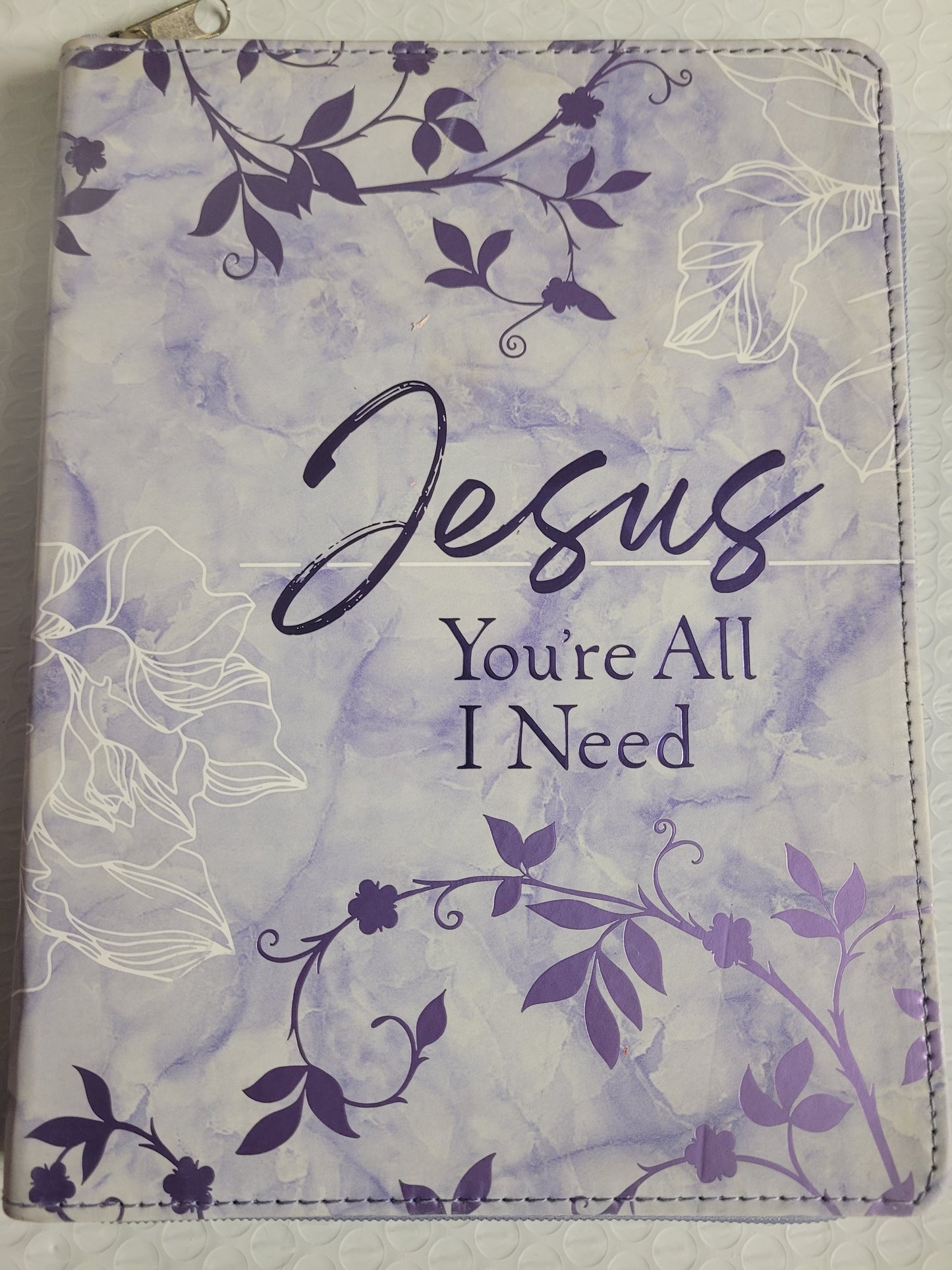 Jesus Your All I Need